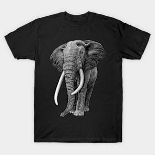 Bull elephant - Drawing in pencil T-Shirt